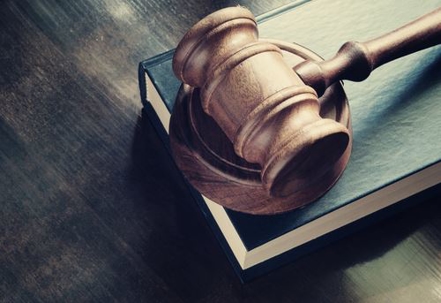judge's gavel on top of a book on a table top